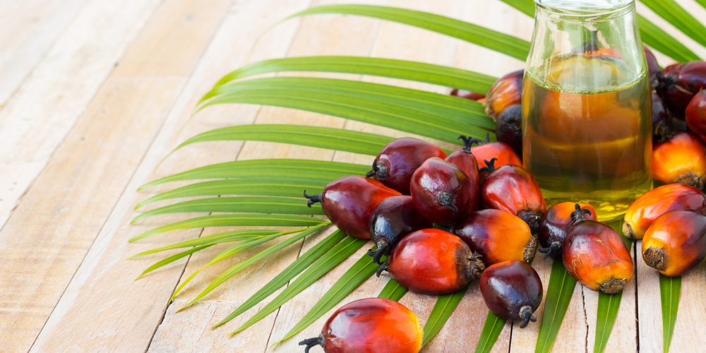 Palm Yağı